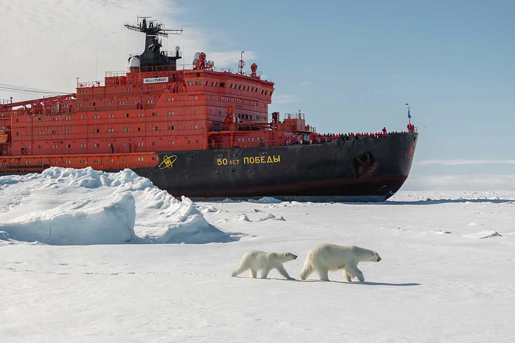  Особо охраняемые природные территории России: тюлень и белый медведь на фоне атомохода