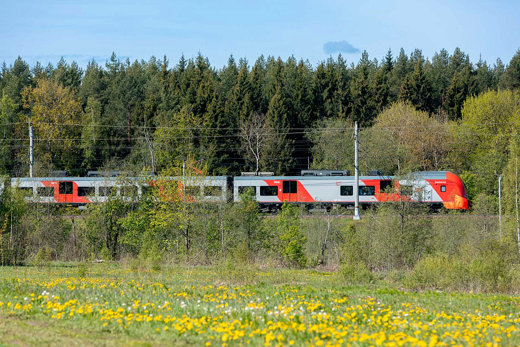  Поезд едет через Валдайский нацпарк