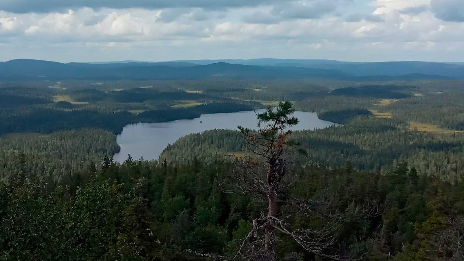  В национальном парке «Паанаярви»