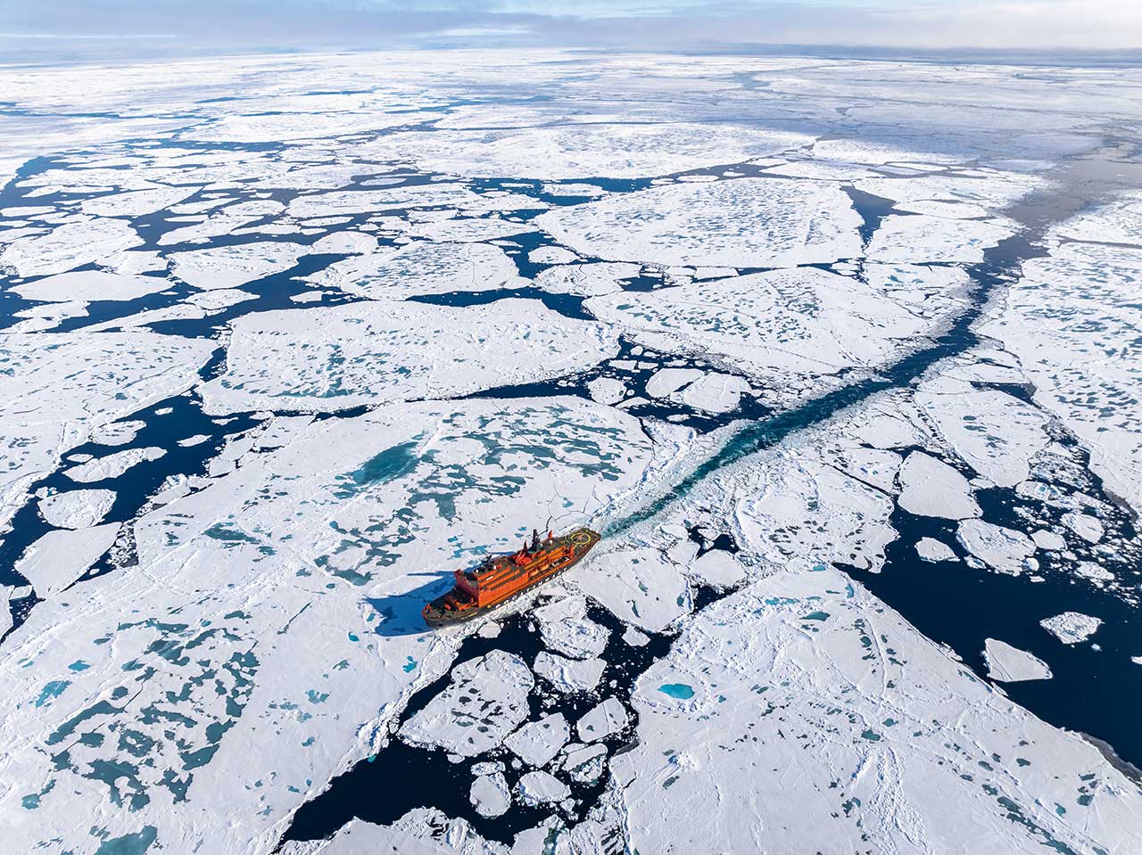  Особо охраняемые природные территории России: тюлень и белый медведь на фоне атомохода