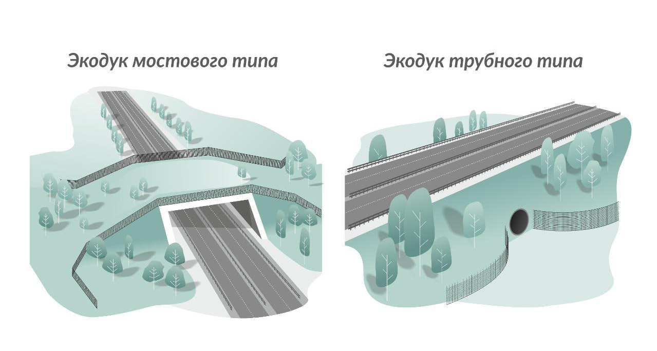  Виды переходов для животных