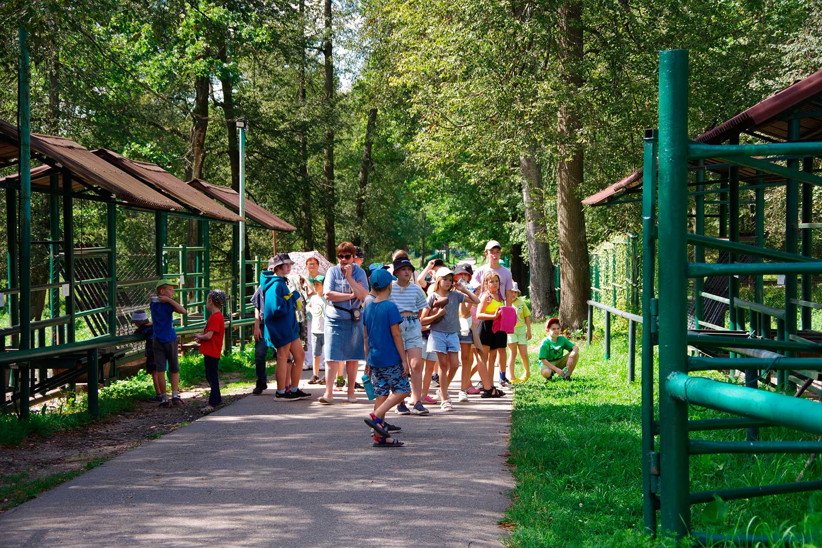  Природные заповедники России: Экологическая тропа «Дорога к зубрам» в Приокско-Террасном заповеднике