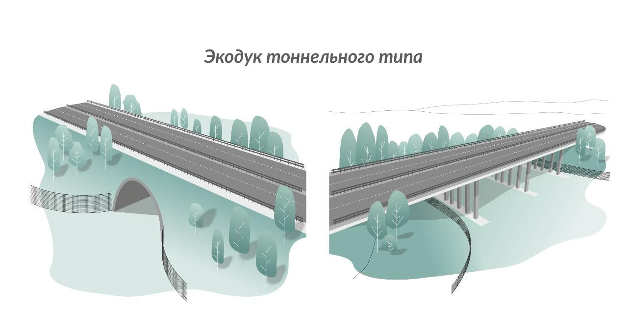  Виды переходов для животных
