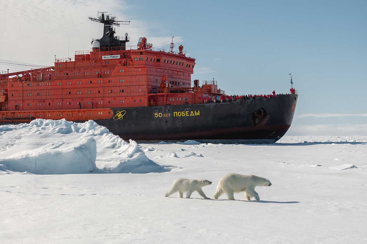  Особо охраняемые природные территории России: тюлень и белый медведь на фоне атомохода