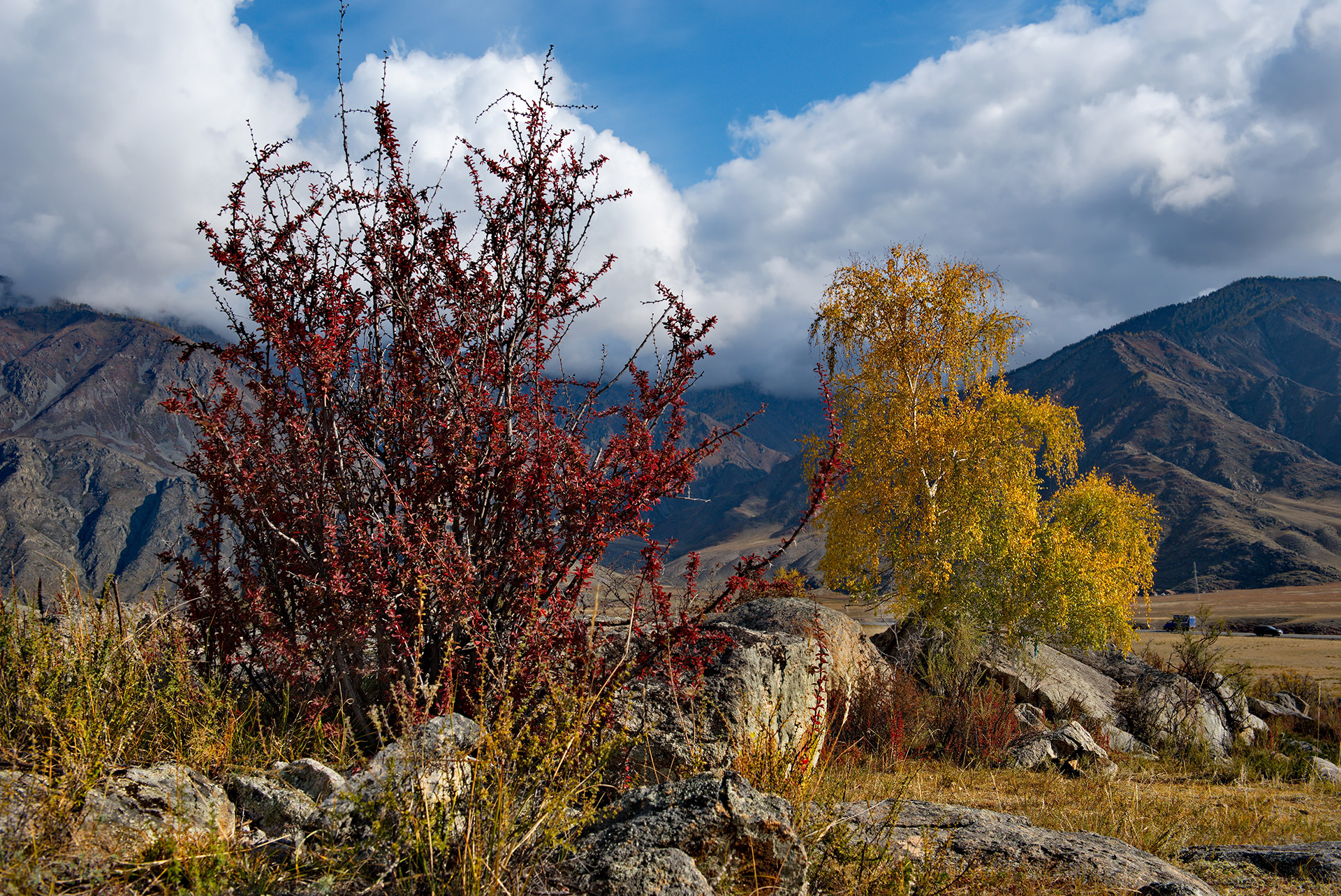  Восточная Сибирь — лидер по запасам полезных ископаемых в России.