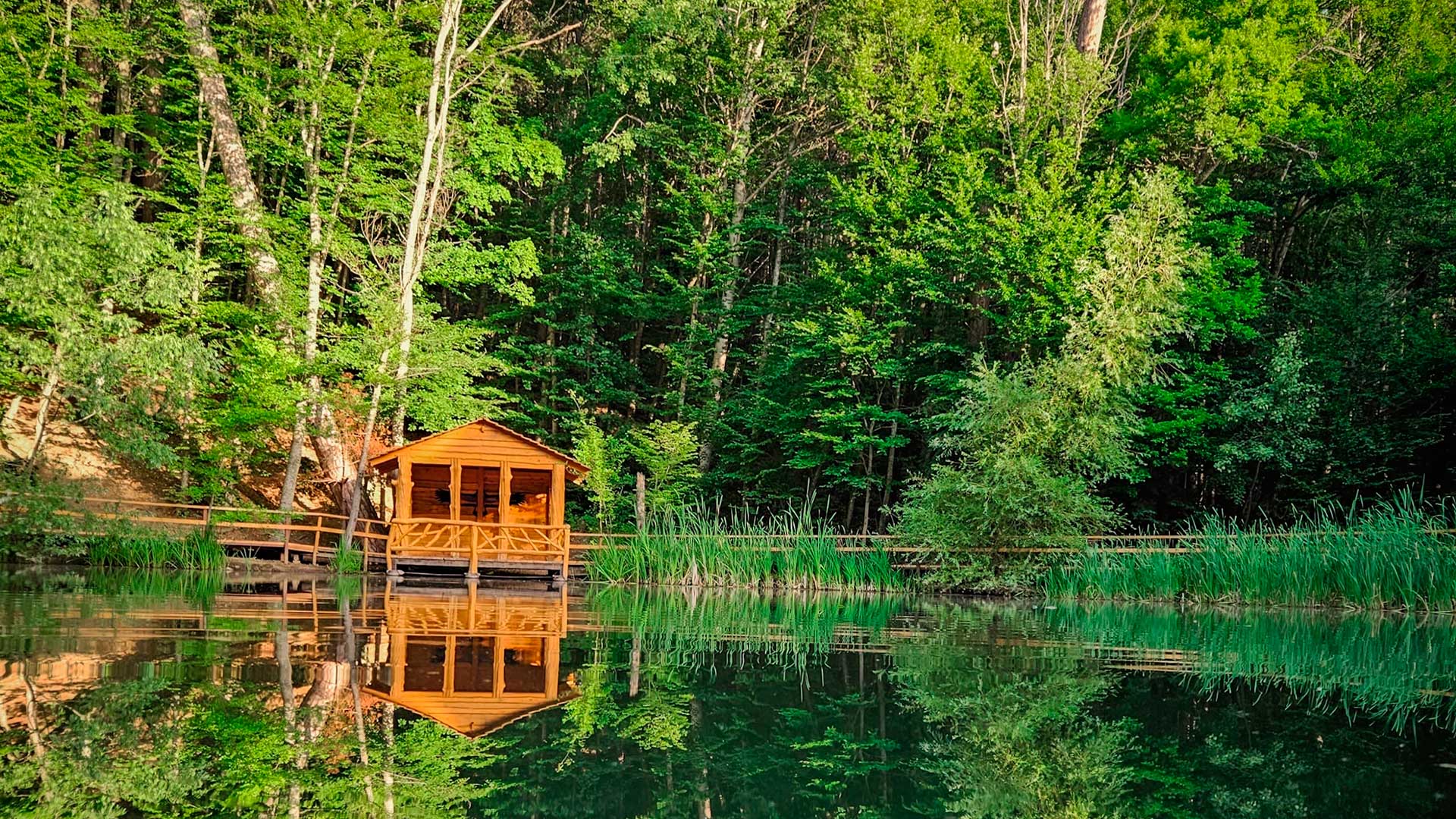  Экотропы: Черепашье озеро