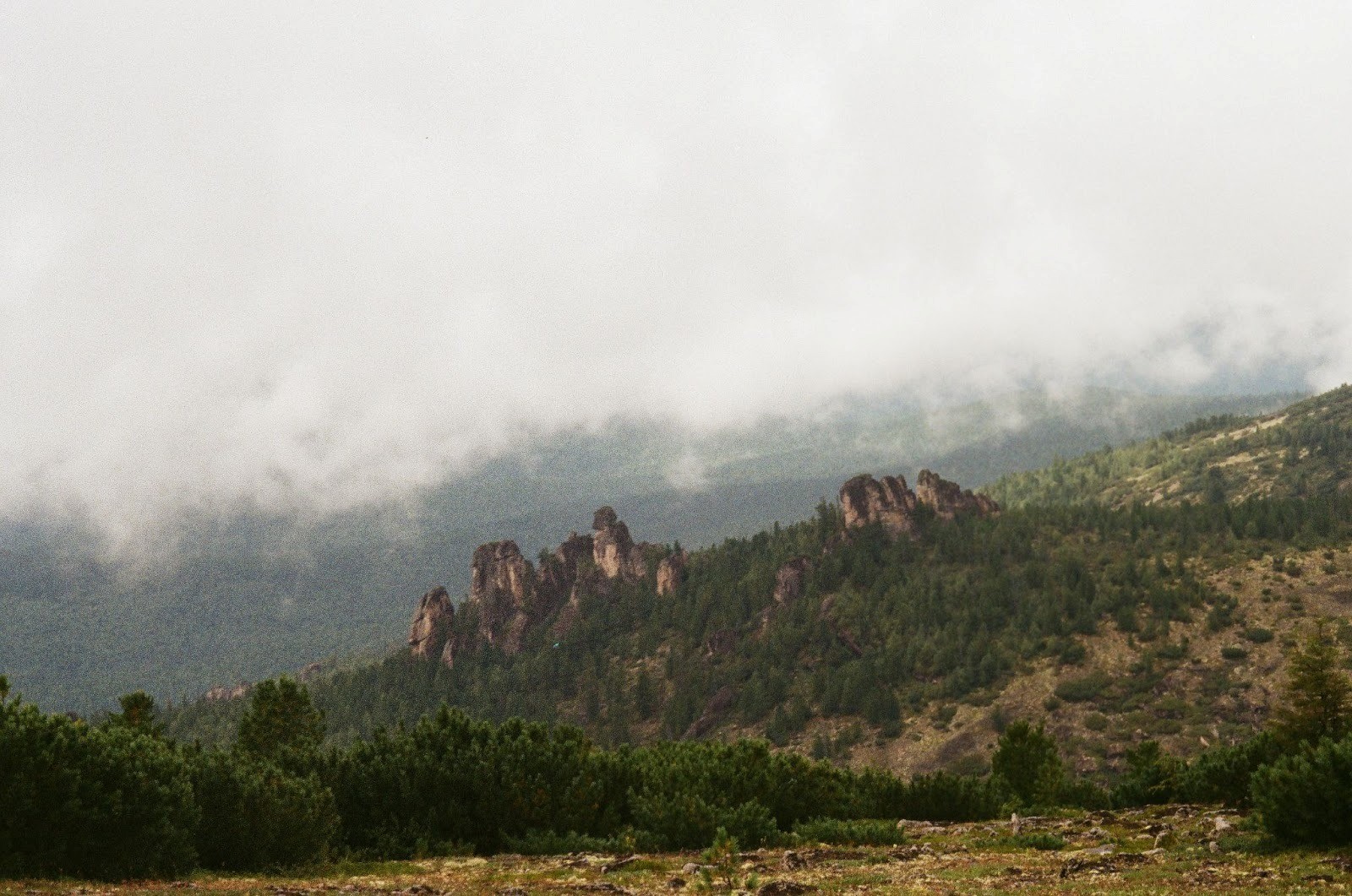  Нацпарк «Чикой» 