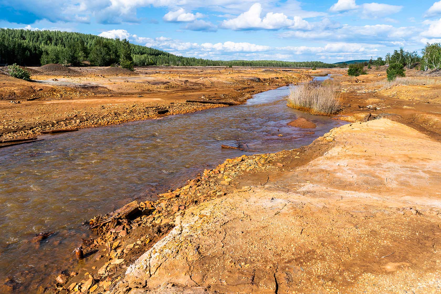  Безопасность экологической среды: Экологическая катастрофа в Карабаше