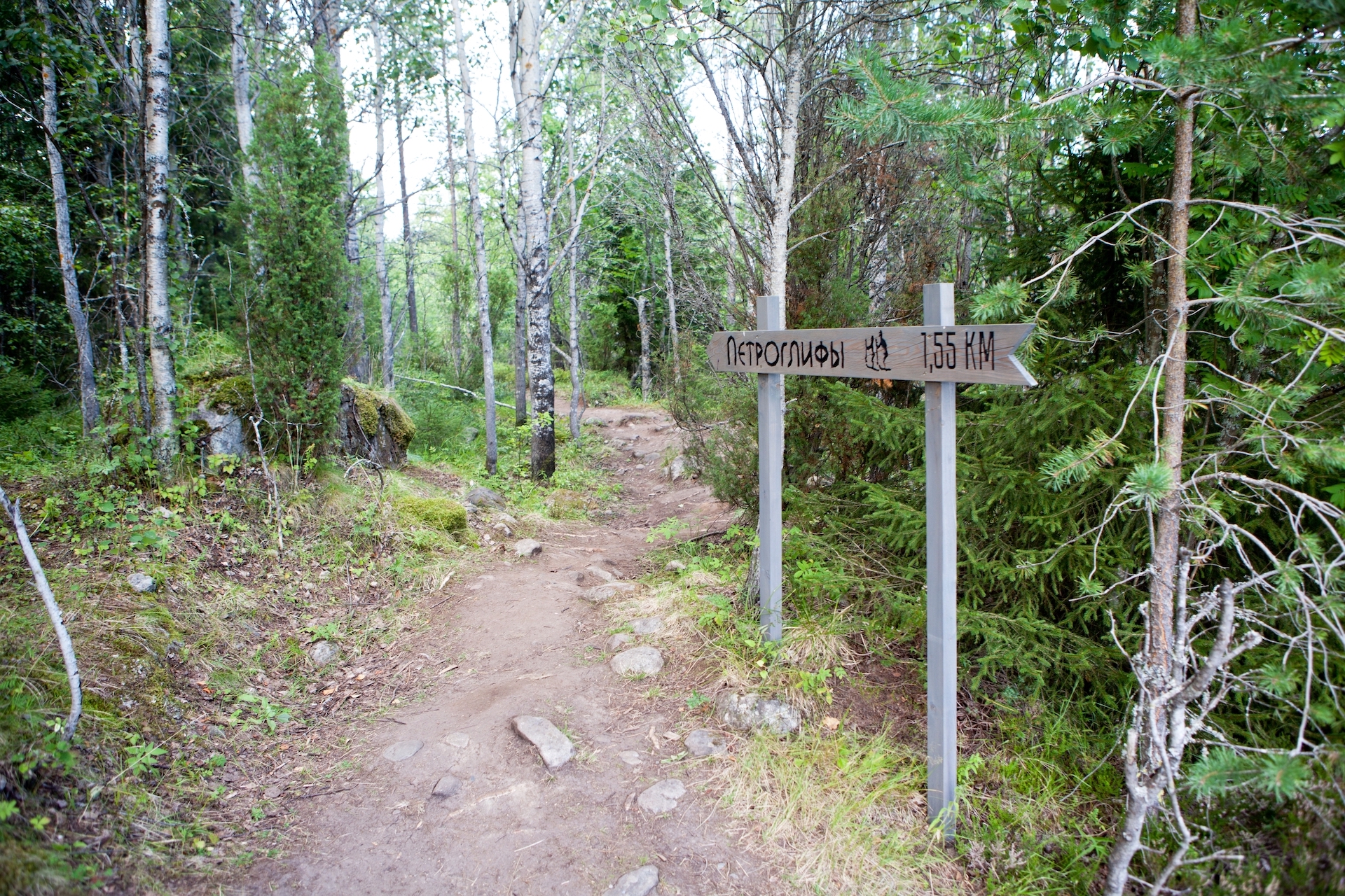  Беломорские петроглифы в Залавруге