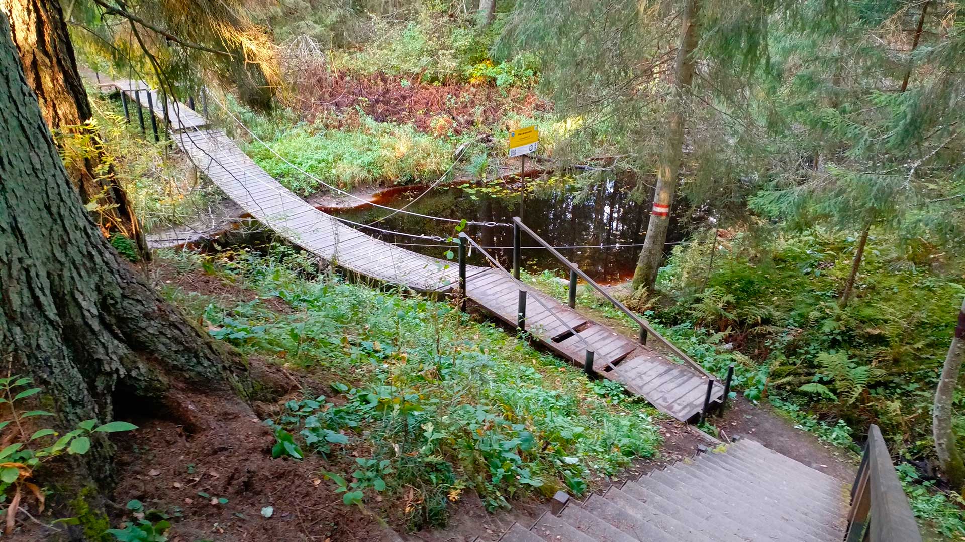  Экотропы СПб, экотропы Ленинградской области