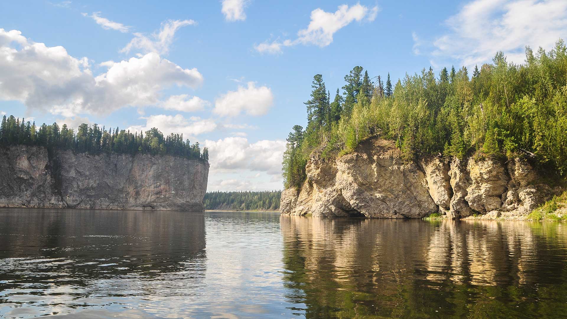  Девственные леса Коми