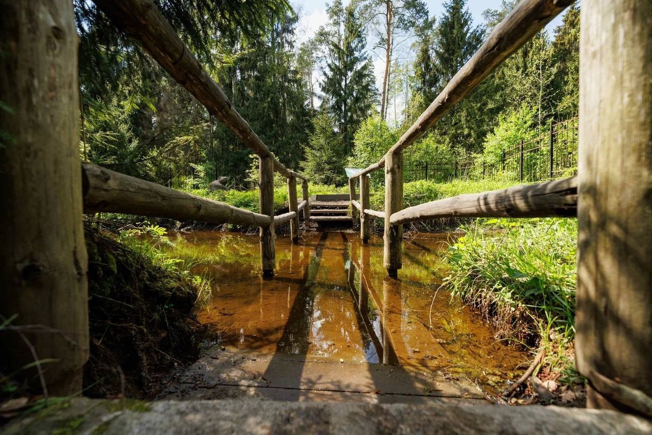  Особые национальные парки России: маршрут «Босоногая тропа» в национальном парке «Лосиный остров»