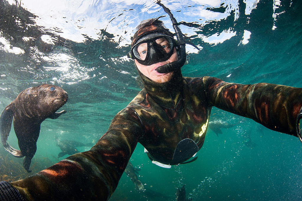  Андрей Сидоров поймал в кадр морского котика
