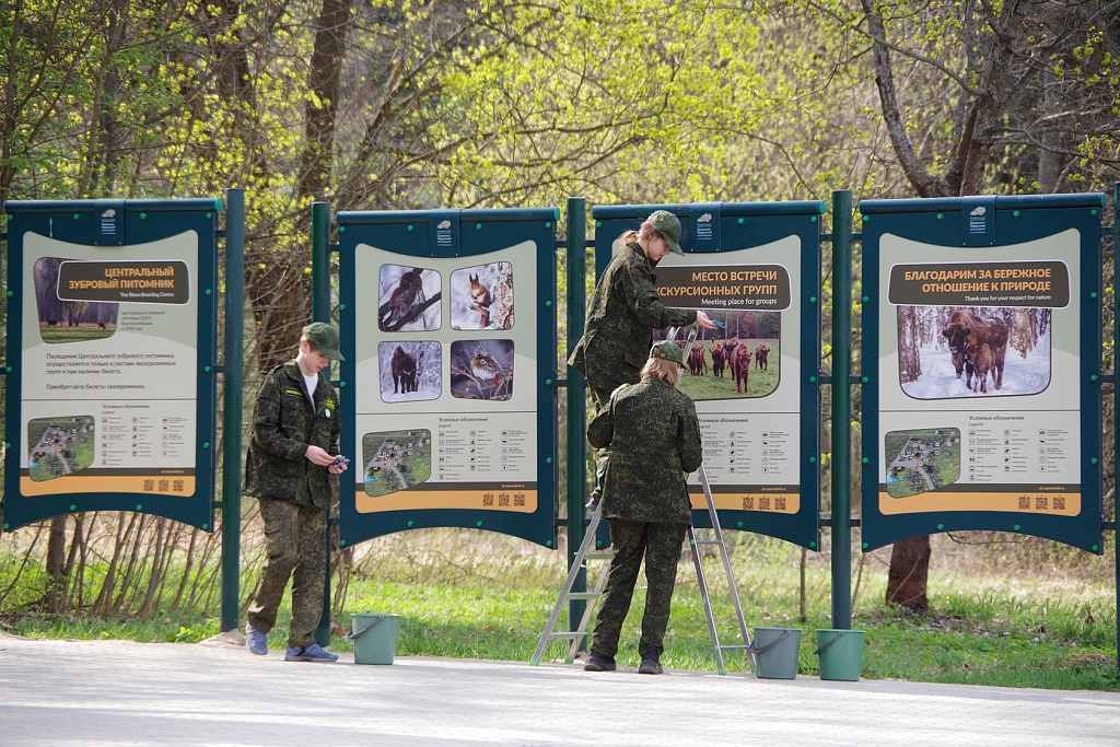  Ребята из «Движения Первых» волонтёрят в заповеднике. 