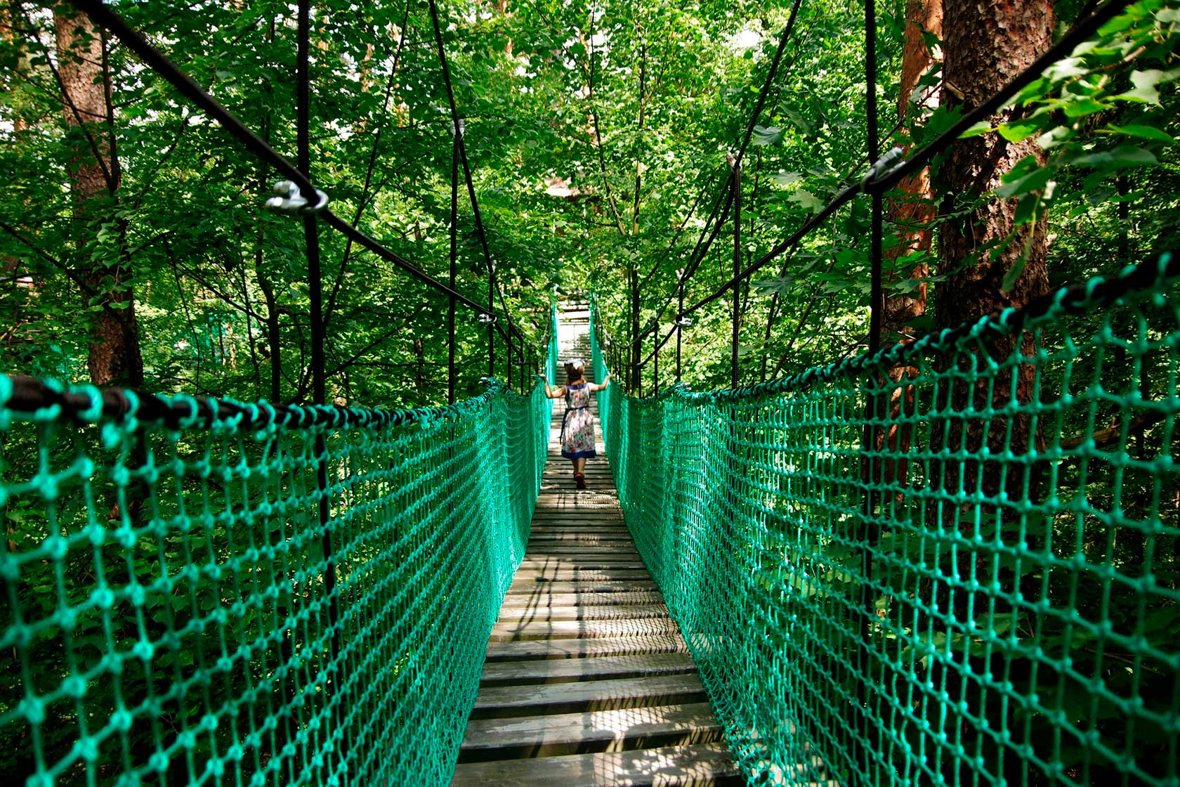  Природные заповедники России: Экологическая тропа «Сквозь листву» в Приокско-Террасном заповеднике