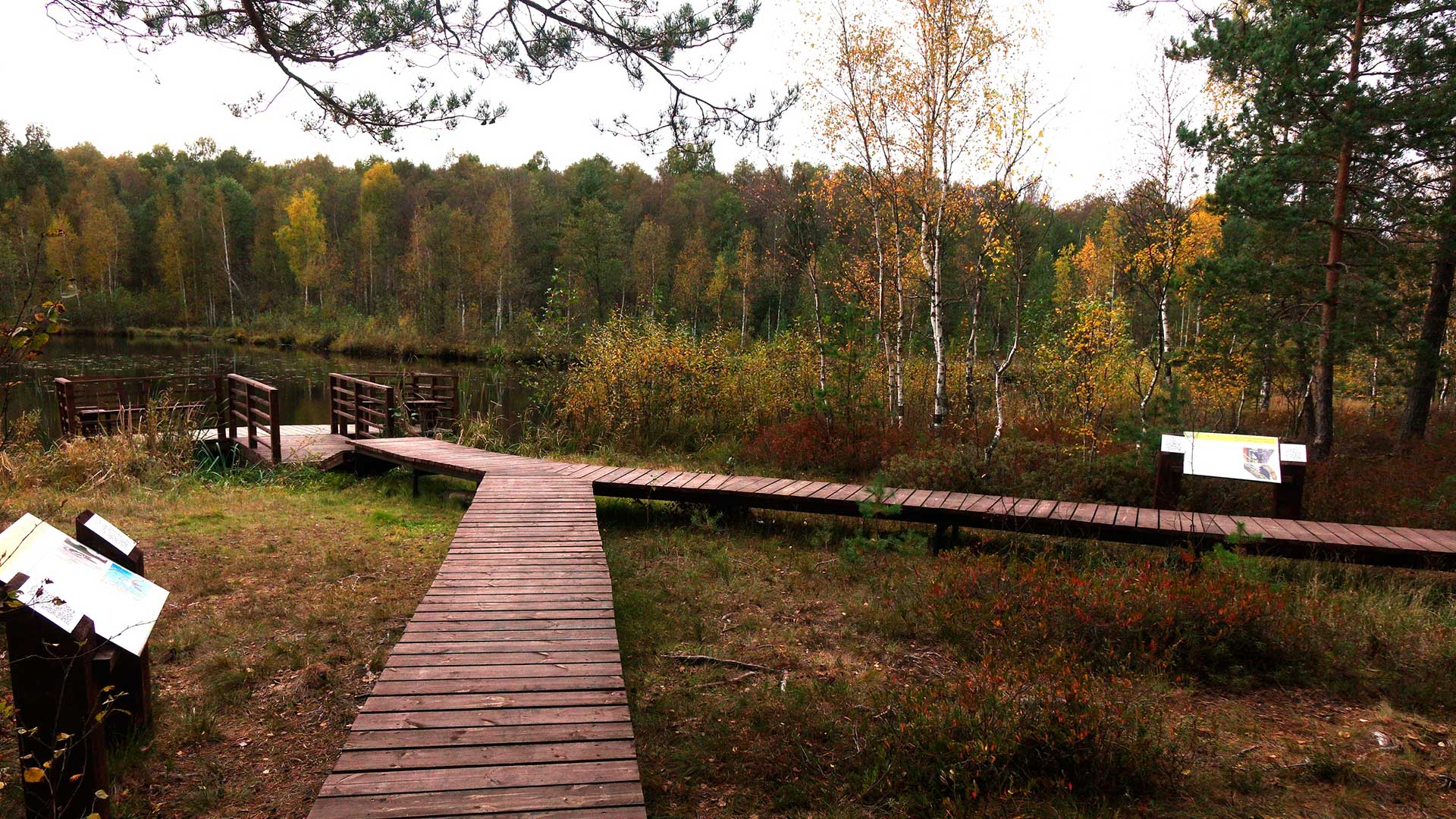  Экотропы СПб, экотропы Ленинградской области