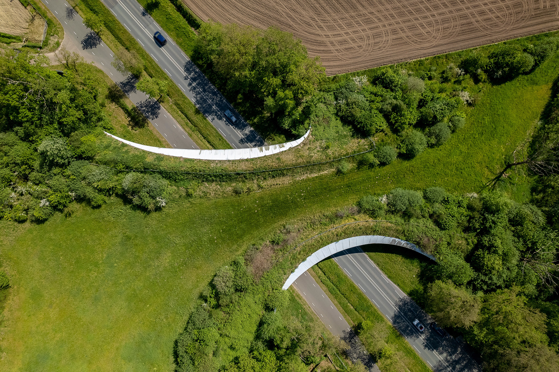  Экодук в Нидерландах обеспечивает безопасность животных на дорогах