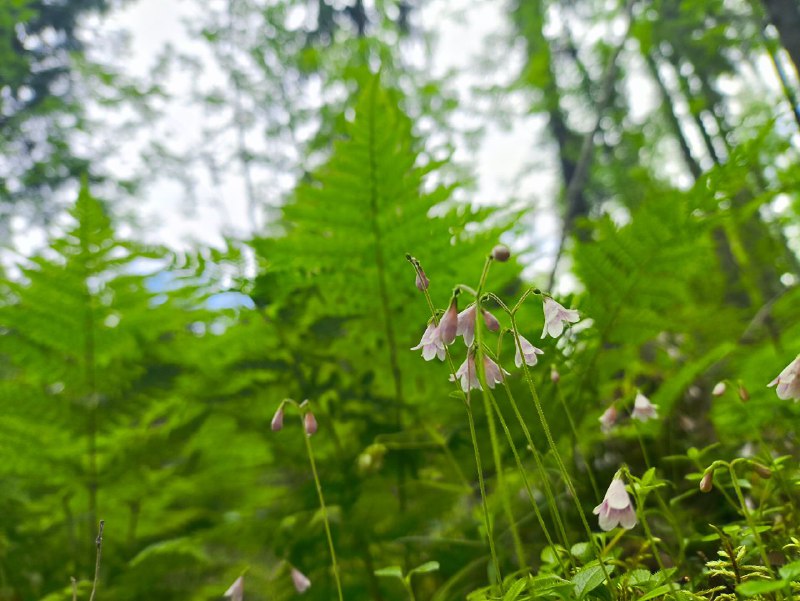  Начальник отдела развития туризма и экологического просвещения национального парка «Койгородский» Маргарита Шилова