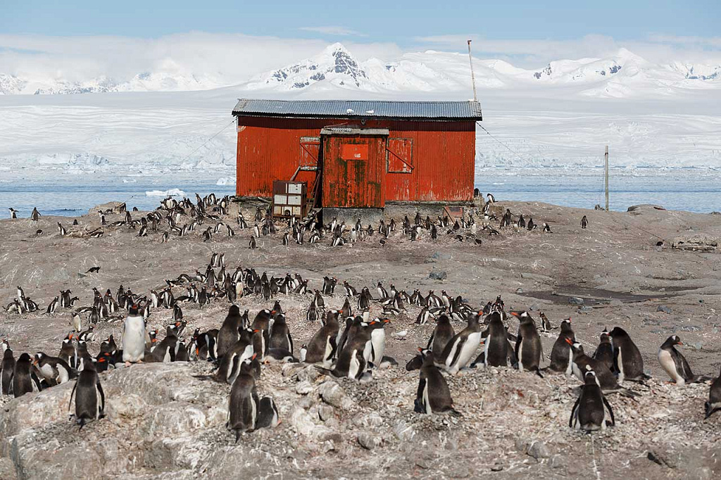  Антарктида, 2024 год, фото Вадима Махорова