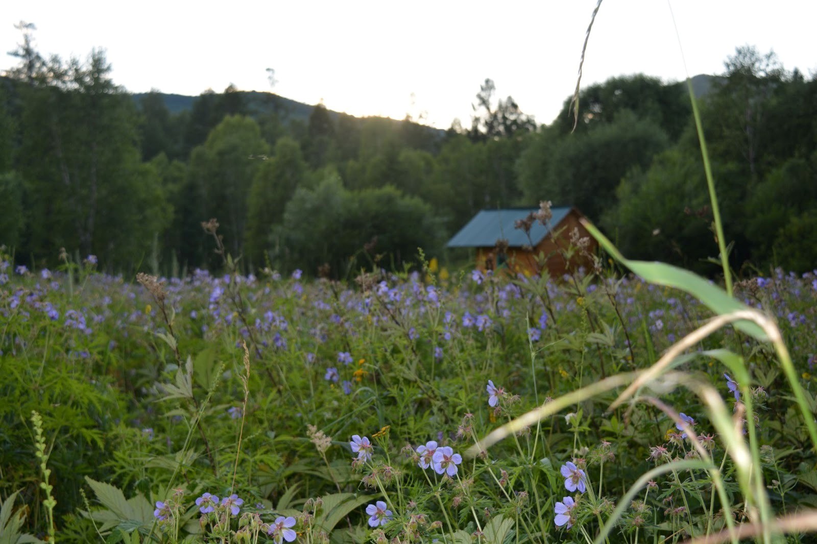  Нацпарк «Чикой»