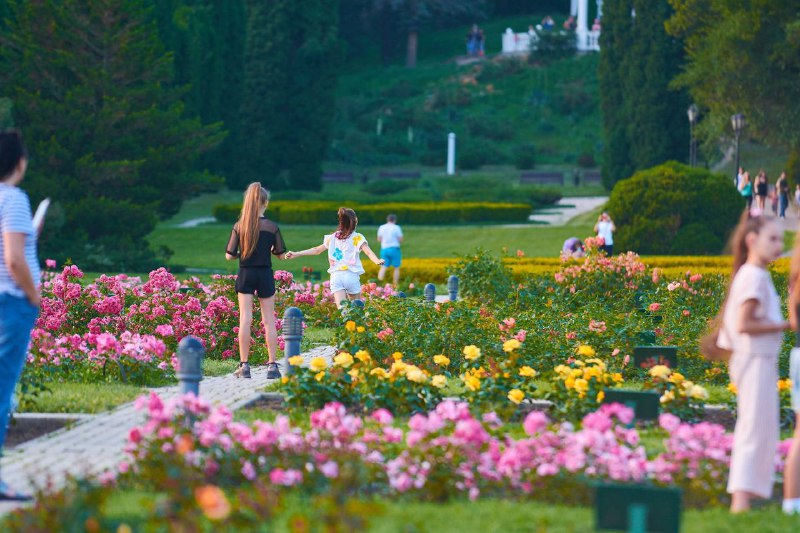  Национальные и природные парки России: Долина роз в национальном парке «Кисловодский»