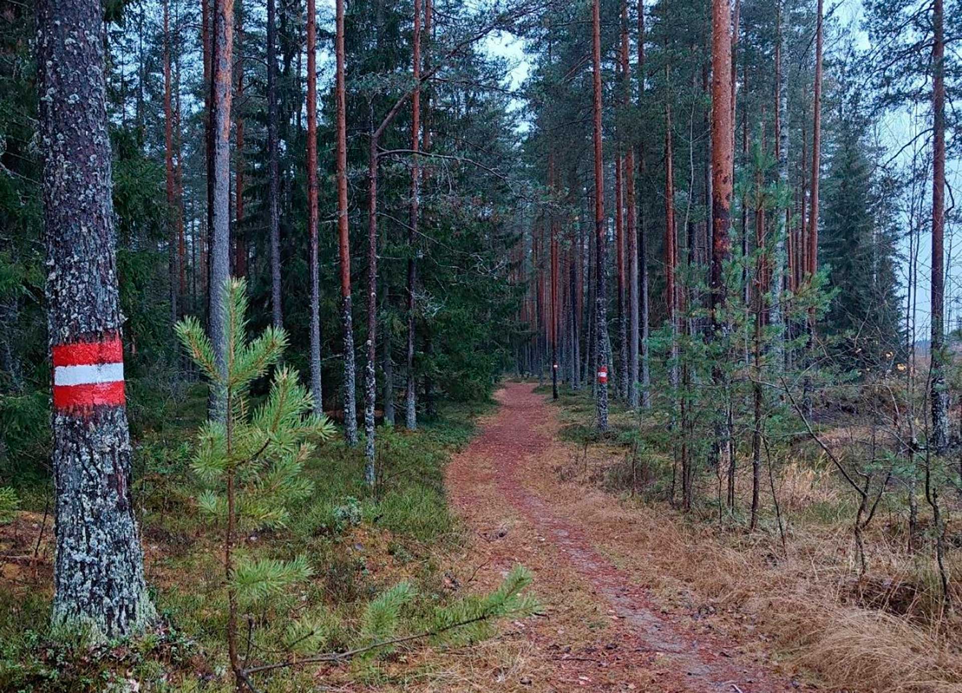  Заповедники и национальные парки России, Гряда Вярямянселькя