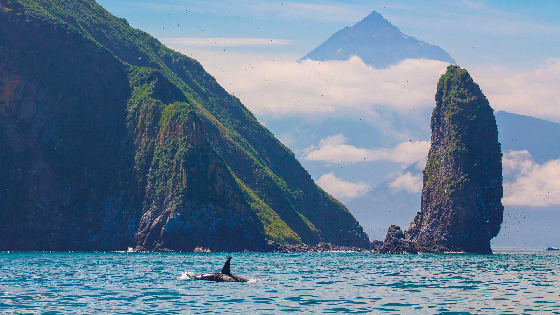  Особые заповедники России. Камчатка