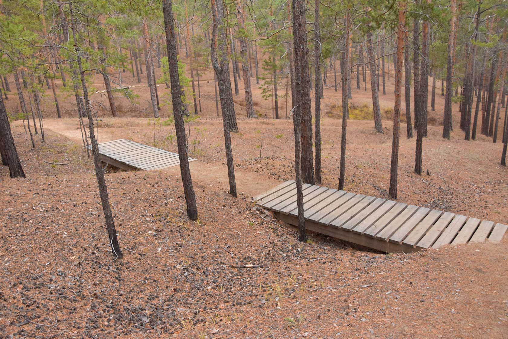  Елена Чубакова – учредитель и президент Ассоциации «Большая байкальская тропа»