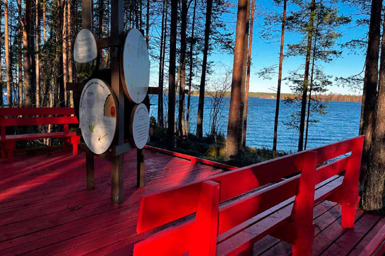  Заповедник «Костомукшский» и нацпарк «Калевальский»