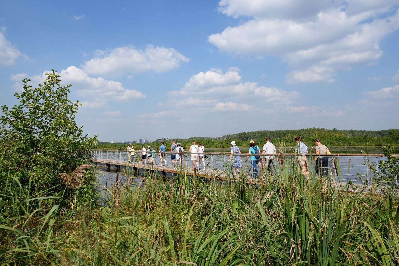  Особые национальные парки России: экологический маршрут «Понтонная тропа» в национальном парке «Лосиный остров»