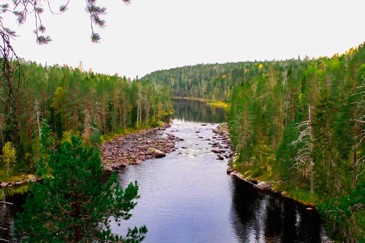  Заповедник «Костомукшский» и нацпарк «Калевальский»