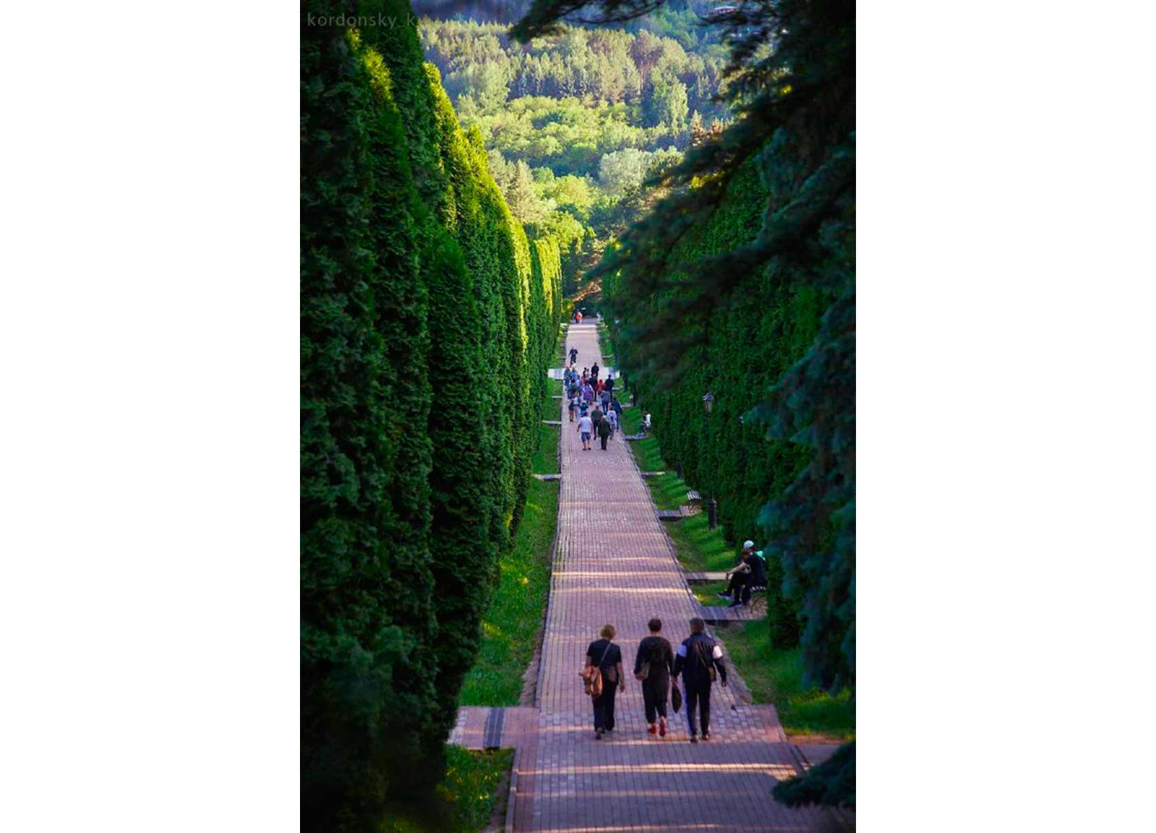  Национальные и природные парки России: Маршруты национального парка «Кисловодский». Аллея туи западной в Долине роз