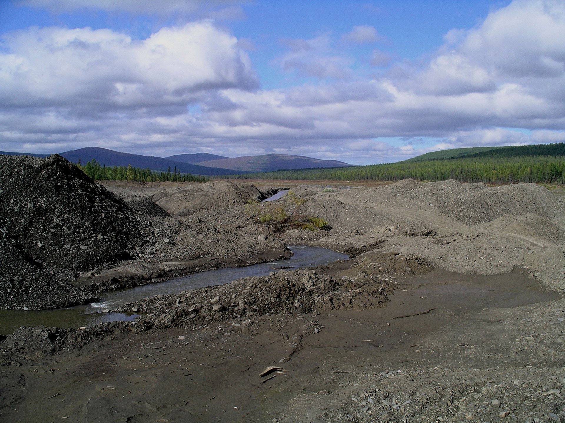  Дмитрий Кобылкин, председатель Комитета по экологии, природным ресурсам и охране окружающей среды Государственной думы РФ