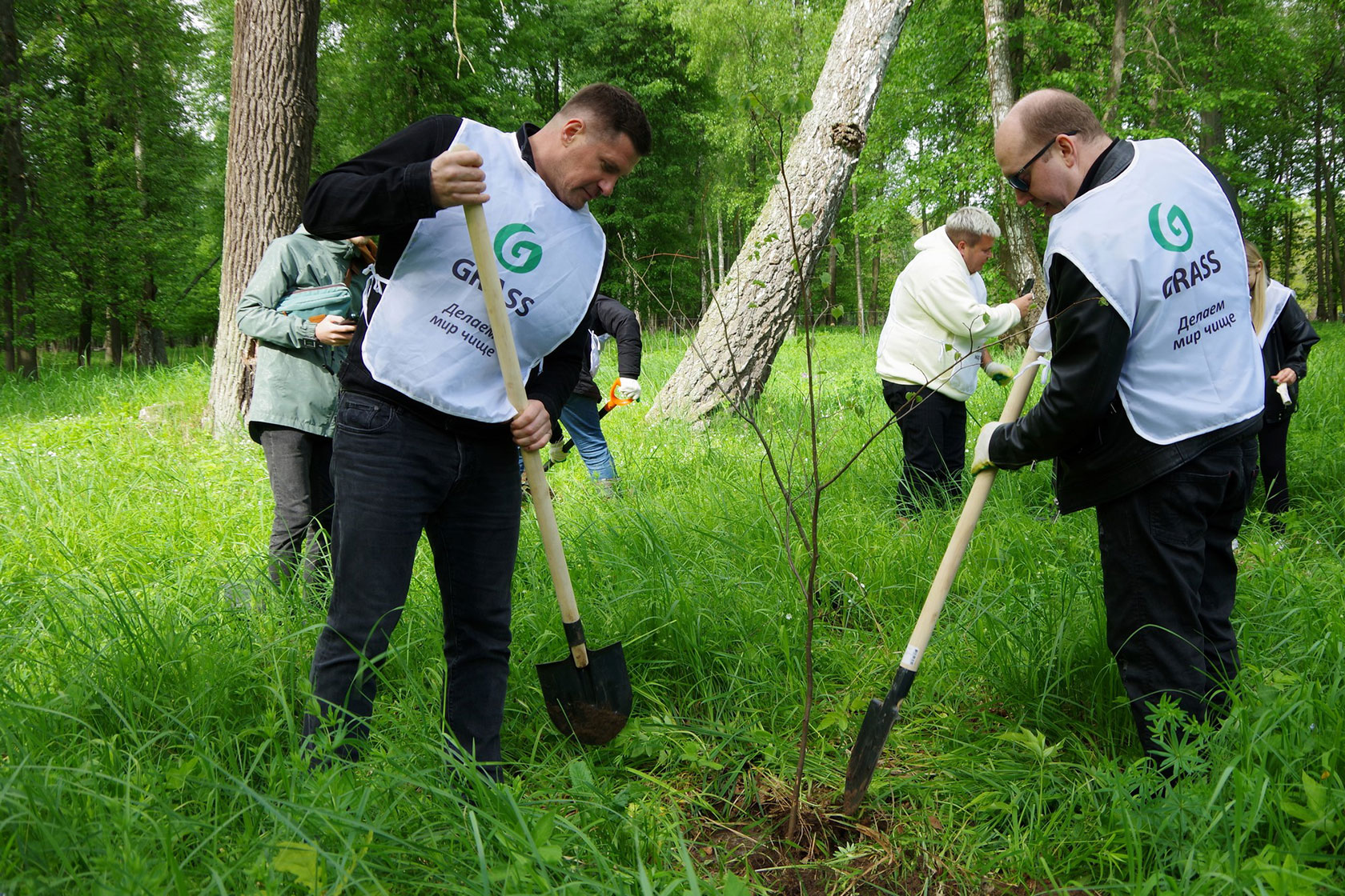  Волонтёры помогают расчистить территорию заповедника от валежника, сажают новые деревья.